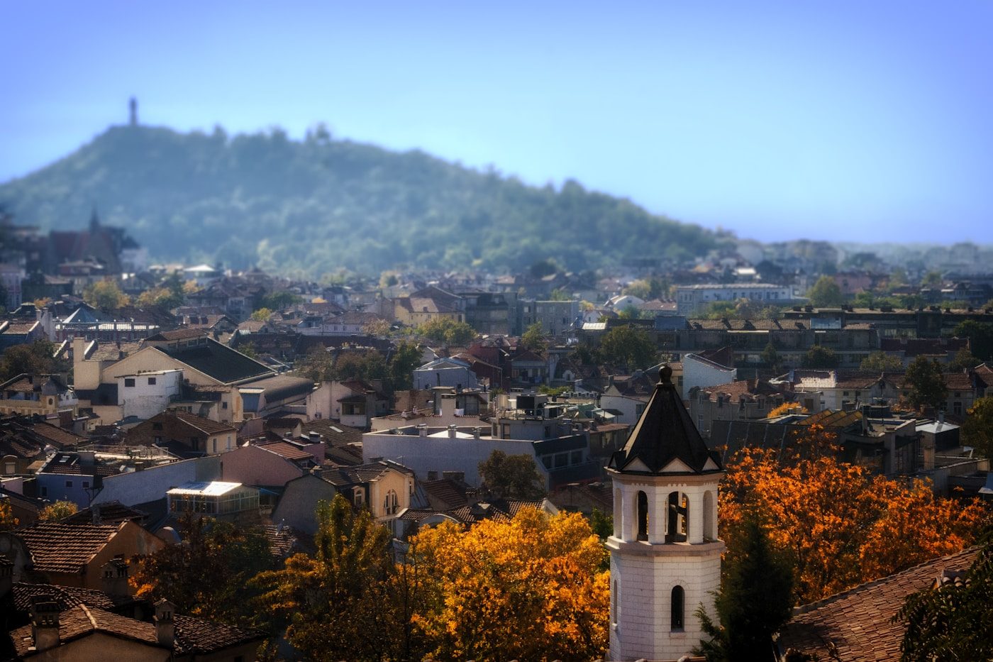 Bulgaria: The Strategic Sanctuary for Your Business