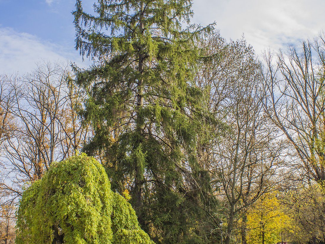 Iztok neighbourhood near Borisova Gradina, Sofia